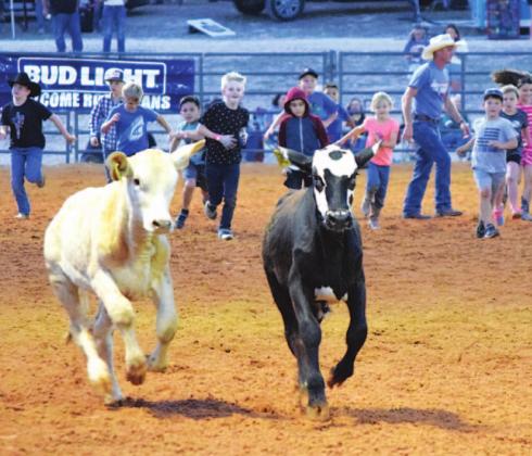 Young cowboys and cowgirls chase some calves during the calf scramble at the Riata Roundup. ALEXANDRIA RANDOLPH | DISPATCH RECORD