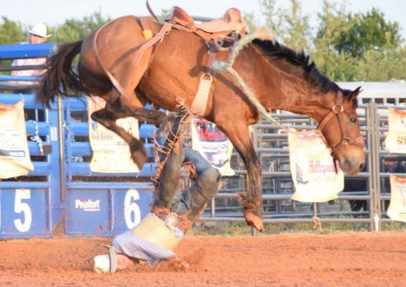 Cameron Poteet from Ballinger hits the ground hard at the end of his saddle bronc ride during last week’s rodeo. ALEXANDRIA RANDOLPH | DISPATCH RECORD