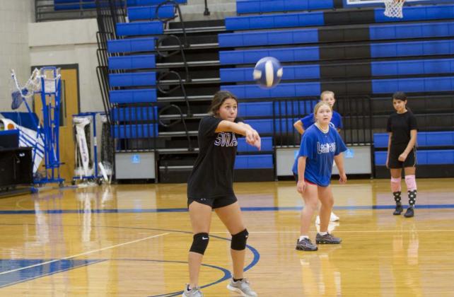 Local volleyball players work at Badger camp