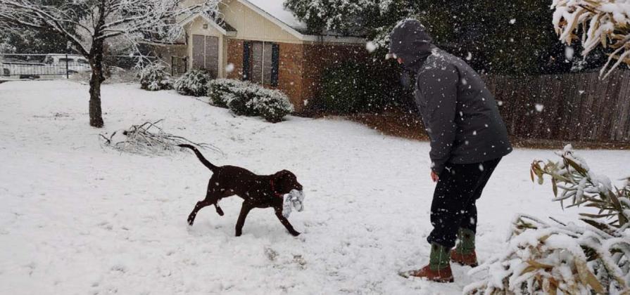 Parker Kendrick plays with Lincoln, a 5-month-old chocolate Labrador retriever, in the snow on Castleberry Street on Sunday. DAVID LOWE | DISPATCH RECORD