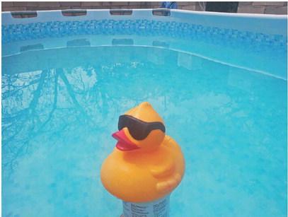 Alexandria Randolph | Dispatch record This rubber ducky was one of few members of the Randolph family that kept his good mood for the entirety of the summer. And it’s no wonder – he spent the whole season in the pool!