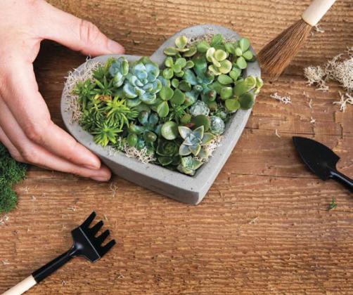 courtesy photo | gardener’s supply company This heart-shaped concrete tabletop planter adds beauty indoors even when space is limited.