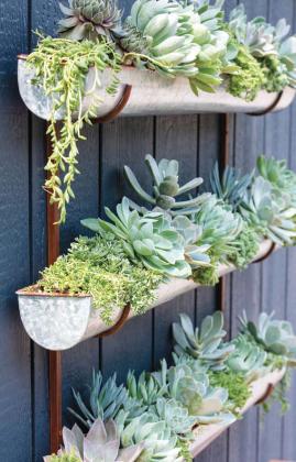 This three-tier vertical wall planter filled with succulents will dress up any wall with its textured greenery. courtesy photo | gardener’s supply company