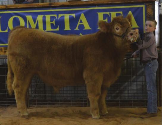 MASON HINES | DISPATCH RECORD D Housten Hill garnered junior showmanship honors for cattle, and he exhibited the reserve champion steer.