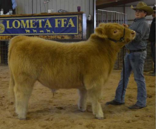 MASON HINES | DISPATCH RECORD Ridge Hill took home the intermediate showmanship award for cattle at Saturday’s show.