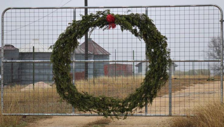 A large Christmas wreath made of Texas cedar might be the best use of this invasive species. Joycesarah McCabe | Dispatch Record