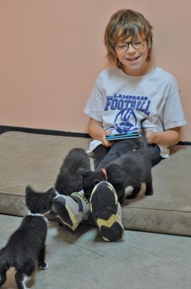 Youngsters like this Lampasas ISD third-grader will have the chance to read with animals until the end of July. erick mitchell | dispa tch record