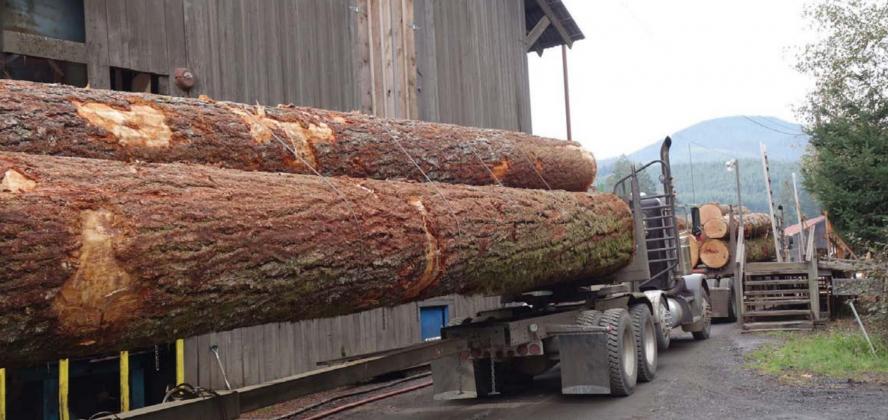 As part of a new Creating Badger Builders program, BHR Timber plans to donate construction-grade wood. COURTESY PHOTO