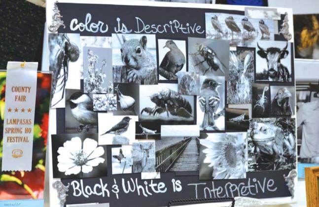 The photography category featured a collage displaying black and white images of county animal life. MASON HINES | DISPATCH RECORD