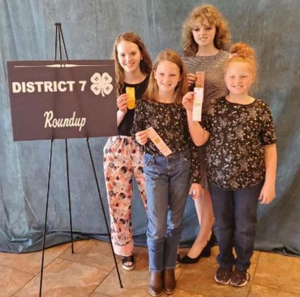 Sisters Vivien Martin and Lauren Martin, on front row, and Allison Martin and Katelyn Martin, back row, all placed at the District 7 4-H Roundup with their Educational Presentations, which demonstrate knowledge and skills in various project areas. COURTESY PHOTO