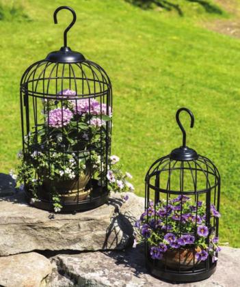 Bird cage planters add whimsy to outdoor or indoor décor while providing a unique place to display air plants or seasonal plants. COURTESY PHOTO | GARDENER’S SUPPLY COMPANY