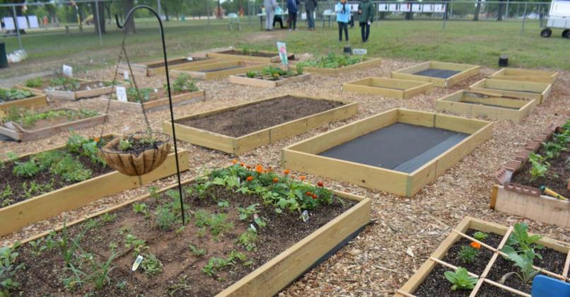 Dozens of residents braced the cold weather Saturday to check out the Lampasas Community Garden. Plots like those shown above are available for rent to those interested in gardening. MONIQUE BRAND | DISPATCH RECORD