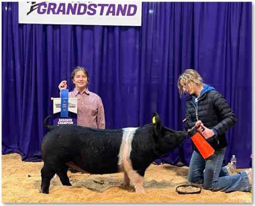 Student exhibits reserve champion in Kerrville show