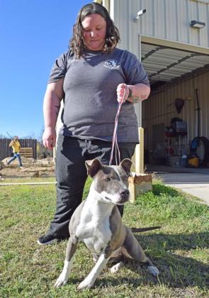 Lampasas Animal Shelter Director Casey Schwartzer walks Poppy, a terrier mix available for adoption at the shelter. “She wants to find her people,” Schwartzer said. Adoptable animals seek their forever homes, not a temporary stay. alexandria randolph | dispatch record