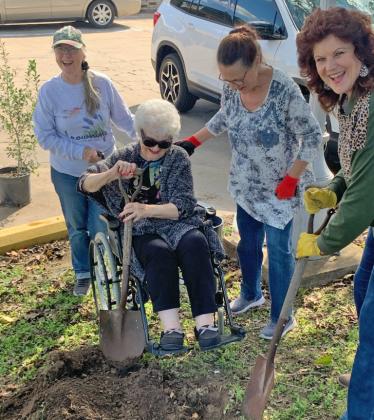 In recognition of Texas Arbor Day on Nov. 3, members of the Browning Community Garden Club planted a tree at Caraday of Lampasas. Pictured are, from left to right, Gail Eltgroth, Oleta Walls, Lanetta Sprott and Betty Seacrest. courtesy photo