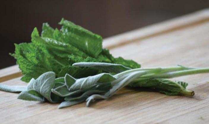 Common herbs such as sage and mint can be used to help alleviate a variety of ailments. ALEXANDRIA RANDOLPH MURRELL | DISPATCH RECORD