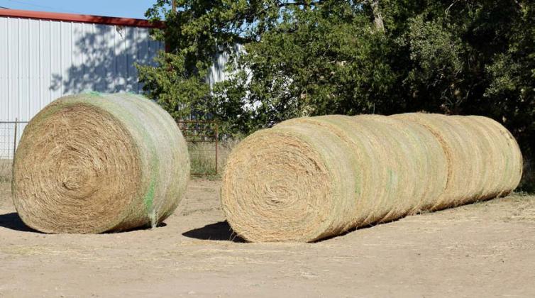 This year’s coastal hay is stored and ready to be fed. Inventory is in short supply for many producers, as 2023 has offered no reserves. joycesarah mccabe | dispatch record