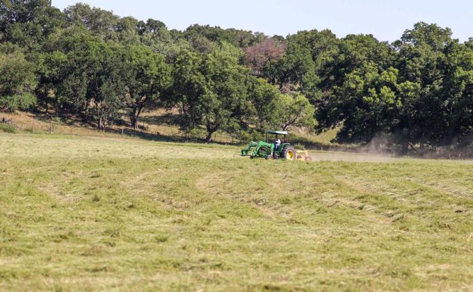 Jordan Herbst cuts hay in an earlier season. Lampasas farmers remain optimistic, and many are hoping for a very wet winter to drive moisture and nitrogen deep into the soil. JOYCESARAH MCCABE | DISPATCH RECORD