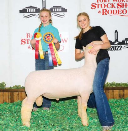 Student exhibits lamb at Fort Worth show