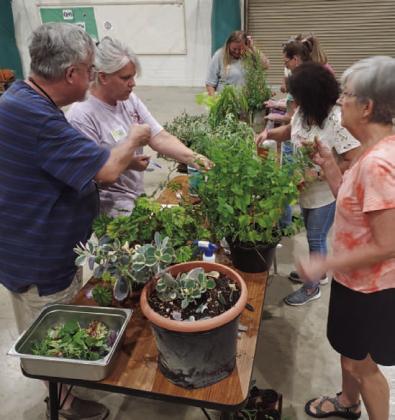 Members of the Highland Lakes Master Gardener Association are knowledgeable about a number of horticulture practices and share that through community service projects. A new class for Master Gardener certification will be offered in February. COURTESY PHOTO