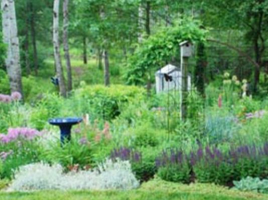 Include habitat features in your garden and landscape that are needed to attract and sustain the wildlife you are trying to benefit. MELINDAMYERS.COM | COURTESY PHOTO