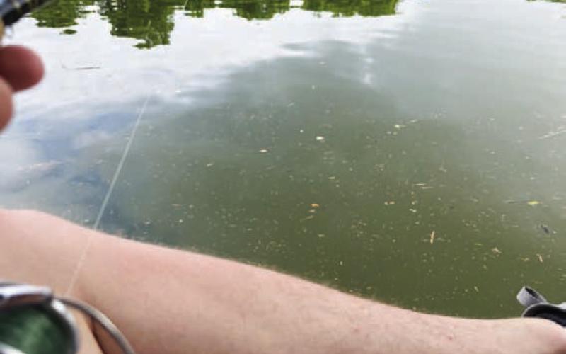 The calm of the water was only interrupted when a fish would bite. HUNTER KING | DISPATCH RECORD