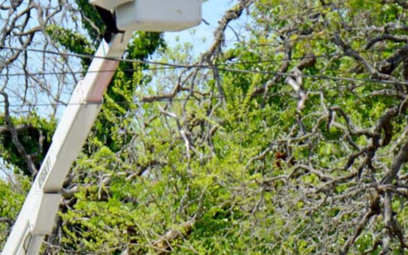 The city of Lampasas electric department is shown working near electric lines last year. FILE PHOTO