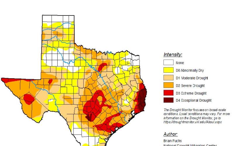 Recent rain eases drought