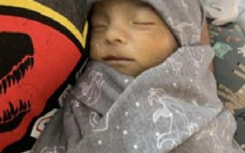 Bush infant