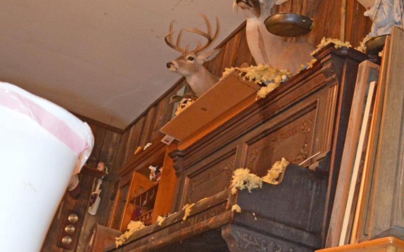 Deer mounts, ceiling fragments and debris lie on the floor of a historic home on Taylor Street on Wednesday. JEFF LOWE | DISPATCH RECORD