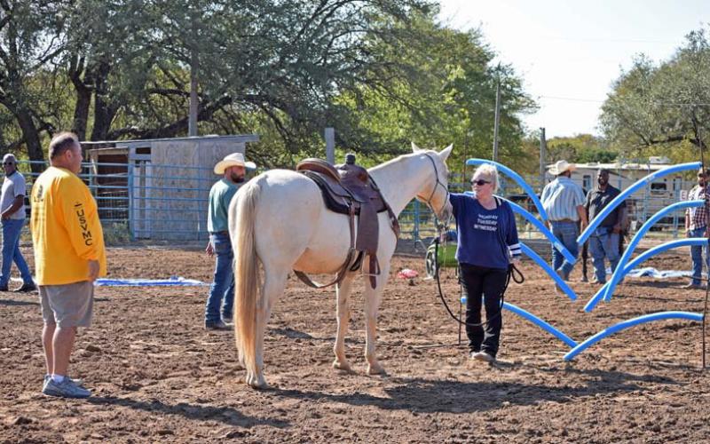 Robyn Bentley, a U.S. Army veteran, guides her equine partner through a desensitization activity. Alexandria Randolph | dispatch record