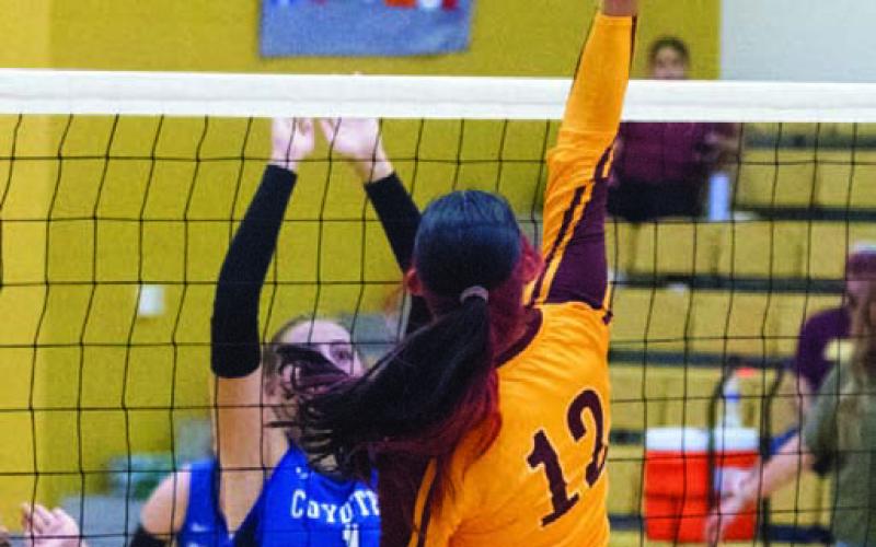 Junior outside hitter Phoenix Jones buries a kill against Ridgeland Springs on Tuesday. ANA SOFIA MEYER | DISPATCH RECORD