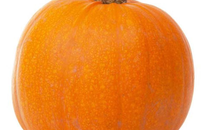 Trunk-or-Treats and fall festivals abound in October