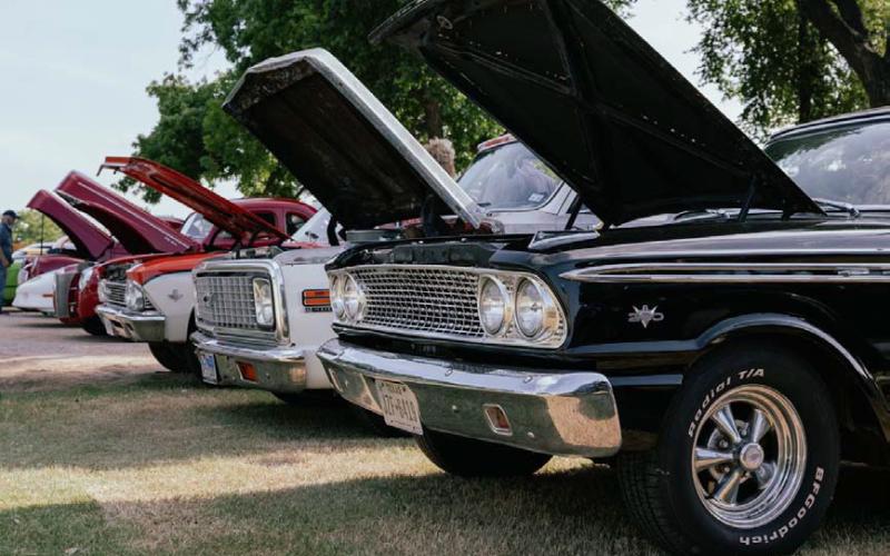 Cars lined up in W.M. Brook Park with their hoods popped for people to view. ADAM BARRIOS | DISPATCH RECORD