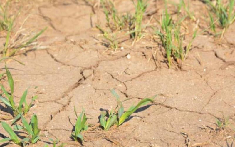 Stage 1 drought watch still in effect in Lampasas