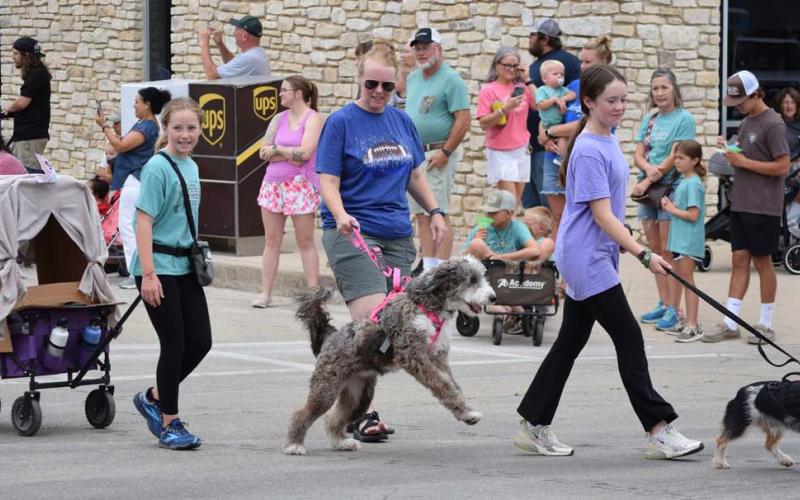 The promenade of pets includes all types of friendly animals. Pets and their owners are encouraged to wear a costume in conjunction with the festival theme. FILE PHOTO