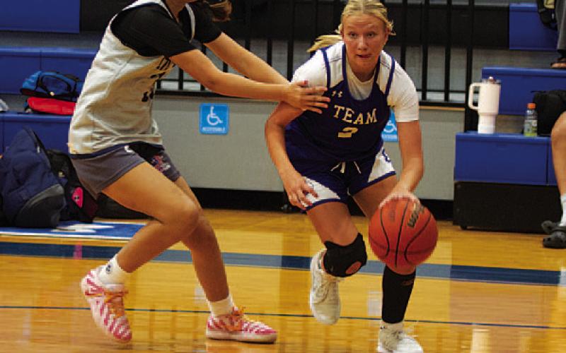 Tenley Langford drives baseline against Shoemaker. HUNTER KING | DISPATCH RECORD