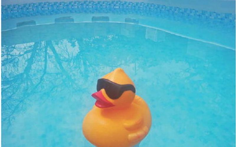 Alexandria Randolph | Dispatch record This rubber ducky was one of few members of the Randolph family that kept his good mood for the entirety of the summer. And it’s no wonder – he spent the whole season in the pool!