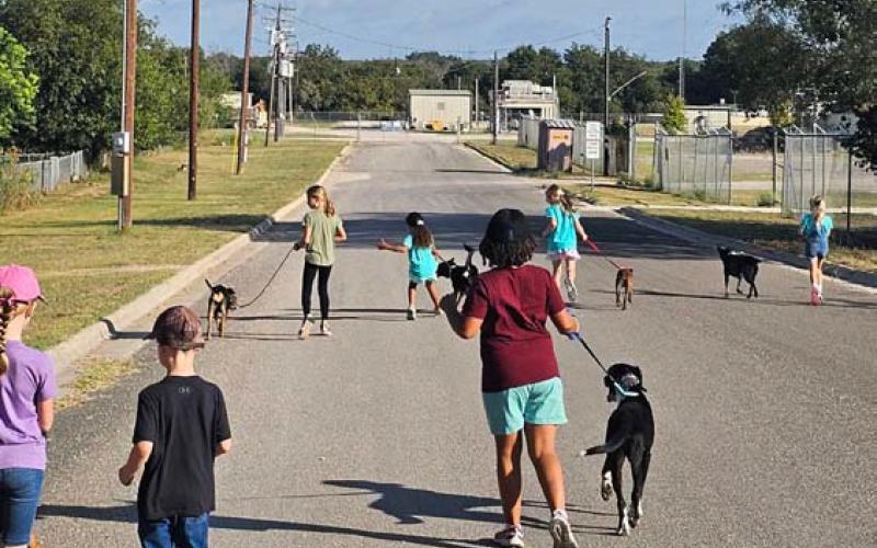With the Doggy Day Out challenge, Lampasas Animal Shelter staff hope to encourage volunteers, especialy youths like the members of this local Girl Scout Troop, to walk dogs, which not only helps alleviate staff hours, but also aids them in learning about the personalities and needs of each shelter dog. courtesy photo