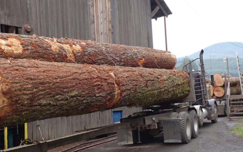 As part of a new Creating Badger Builders program, BHR Timber plans to donate construction-grade wood. COURTESY PHOTO