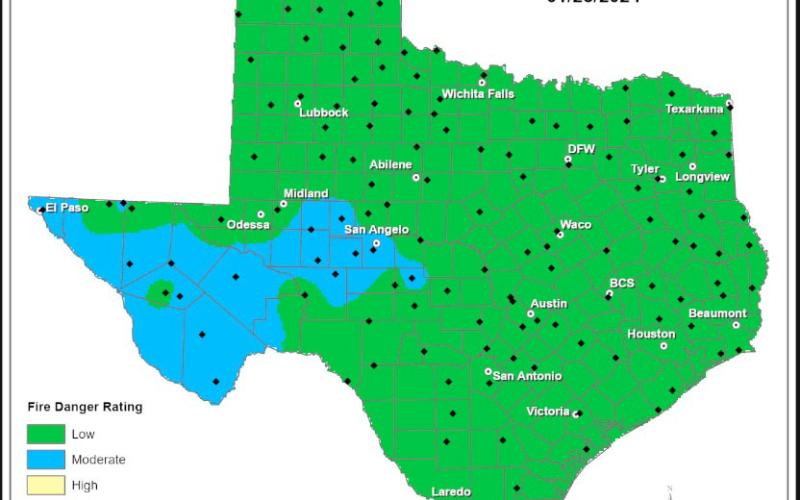 COURTESY GRAPHIC | TEXAS A&amp;amp;M FOREST SERVICE