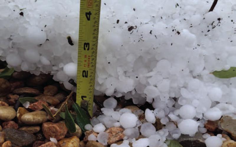 Lampasas resident Tori Lesley submitted this photo displaying several inches of hail she received at her home Friday morning. COURTESY PHOTOS