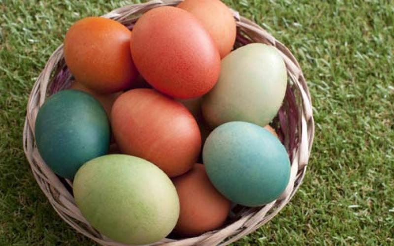 Egg hunts have become a common and fun practice in American Easter celebrations. courtesy photo | EasterStockphotos.com