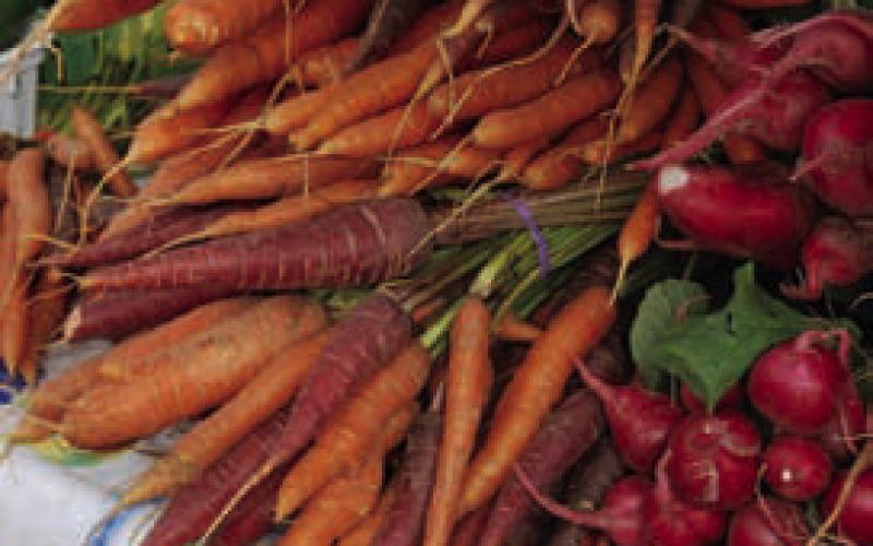 COURTESY PHOTO | WWW.MELINDAMYERS.COM Cool-season root vegetables like carrots can be left in the ground longer in cooler climates for an even sweeter flavor.