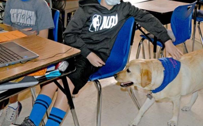 Easton Ybarra, left, and Jayden Havens, right, greet campus dog Honey as she visits their fifth-grade class at Kline Whitis Elementary School. MADELEINE MILLER | DISPATCH RECORD