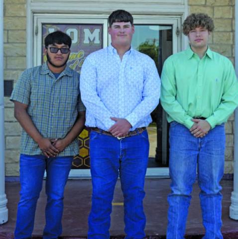 Students to participate in Boys State, Girls State sessions