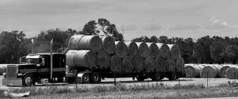 Abundant hay bales signal a strong season ahead for local ranchers. Stockpiles had been depleted last year after two seasons of extreme drought. Joycesarah McCabe | Dispa tch Record