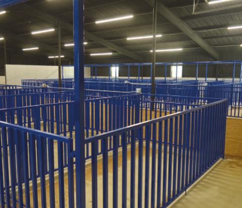 ERICK MITCHELL | DISPATCH REACORD Each pen is 10 feet long and 5 feet wide, large enough for a pig or for two smaller animals, said Jeff Rutland, president of the Lampasas County Livestock Association.