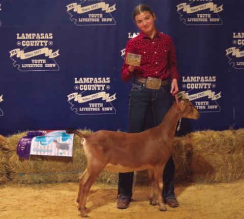 Grand champion dairy goat was shown by Lavinia Purdy. ERICK MITCHELL | DISPATCH RECORD