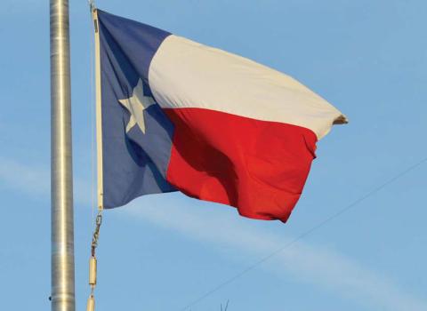 Texas Independence Day